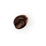 demo attachment 28 coffee beans p4mxyzd2 1