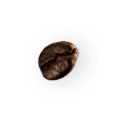 demo attachment 28 coffee beans p4mxyzd2 1